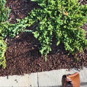 Meet your Posher, Keenan